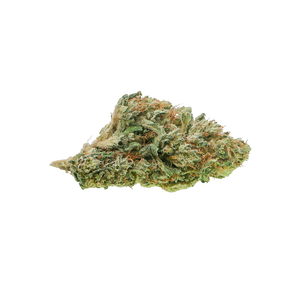 Close-up of a cannabis bud on a white background