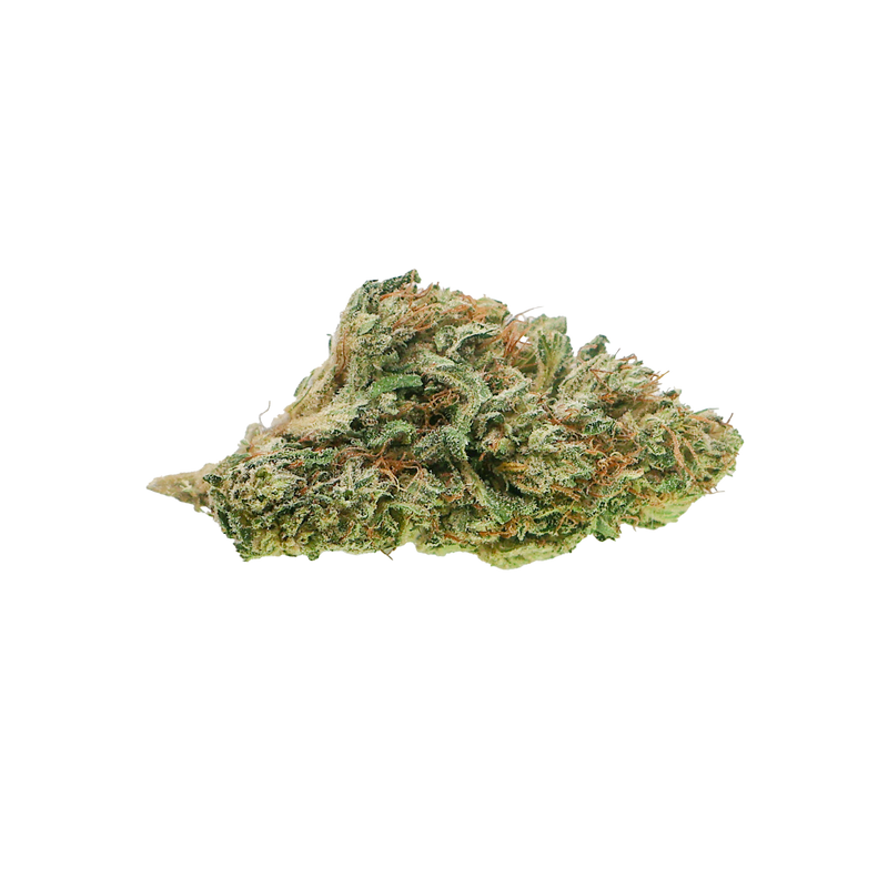 Close-up of a cannabis bud on a white background