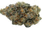 Close-up of a cannabis bud on a white background