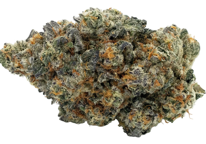 Close-up of a cannabis bud on a white background