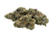 Close-up of cannabis buds on a white background