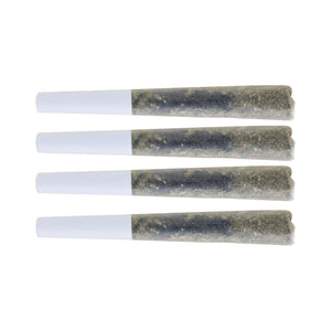 Four pre-rolled joints with white tips on a white background