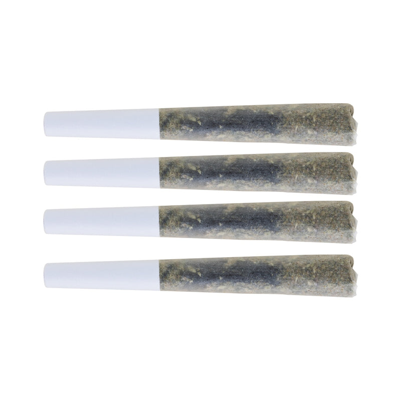 Four pre-rolled joints with white tips on a white background