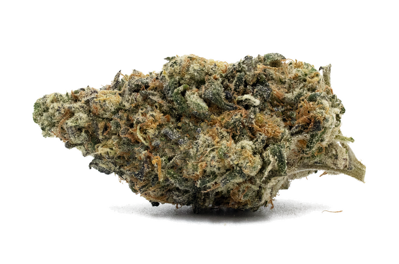 Close-up of a cannabis bud on a white background