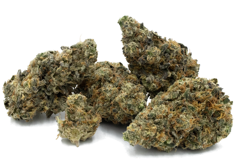 Close-up of dried cannabis buds on a white background
