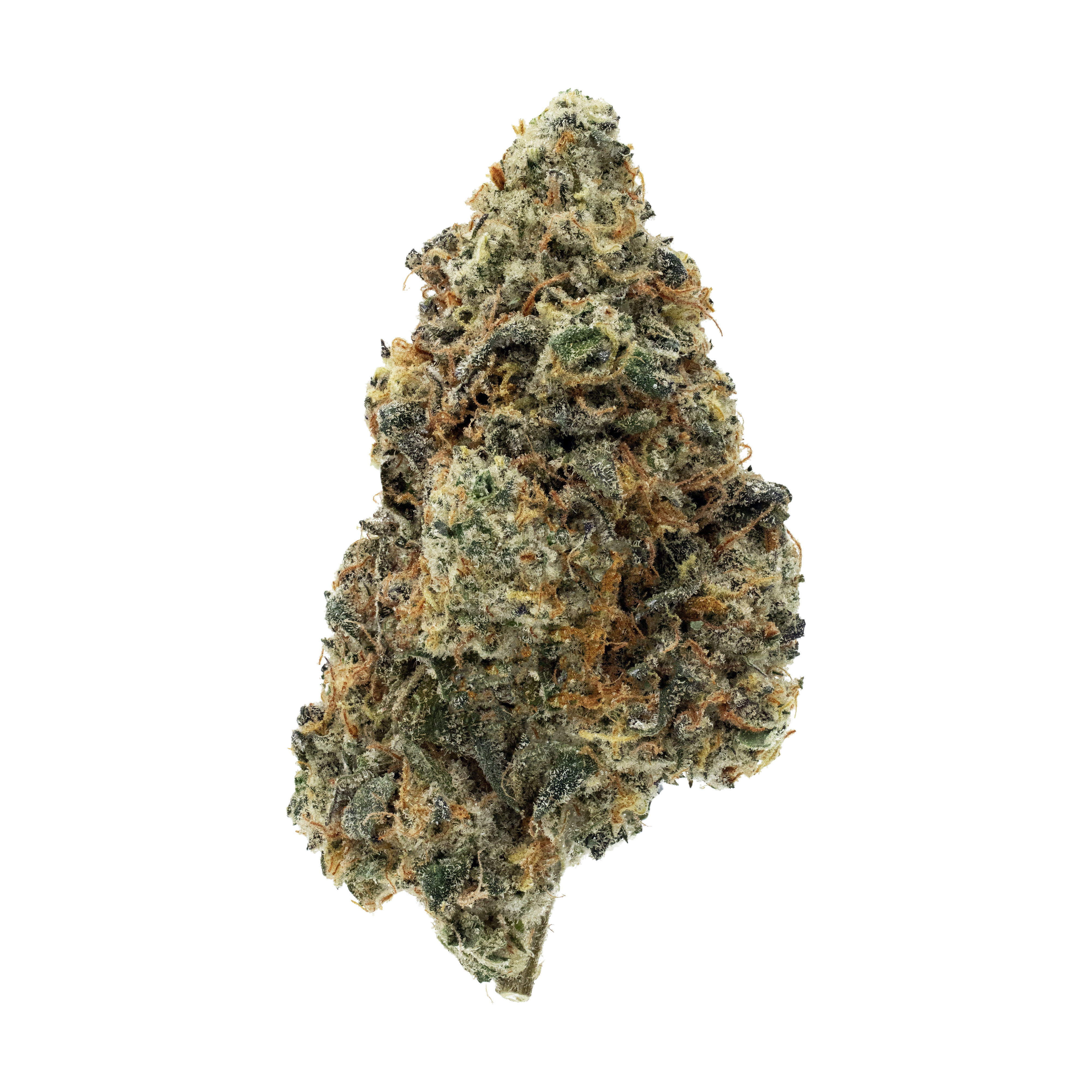 Close-up of a cannabis bud on a white background