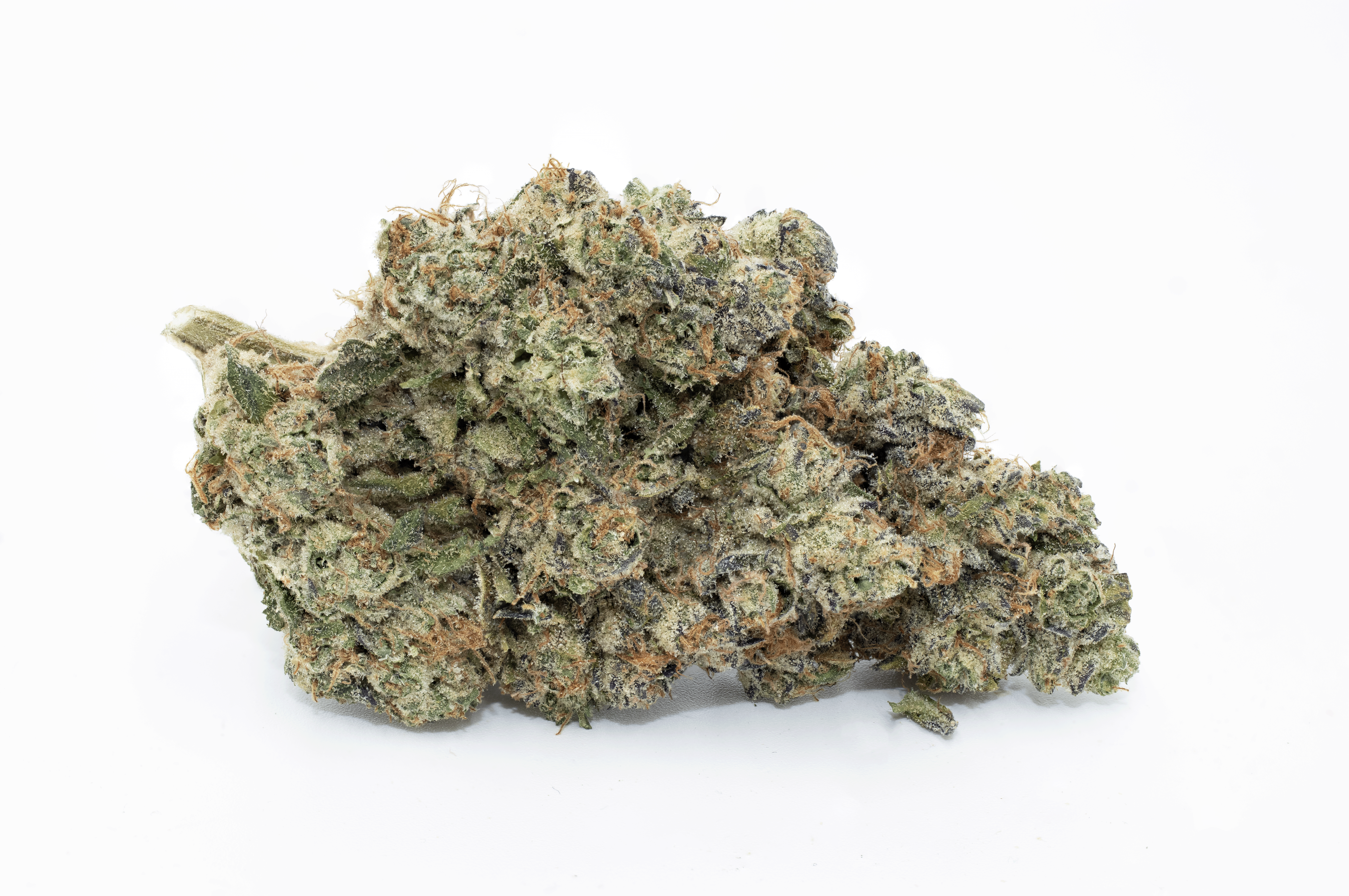 Close-up of a cannabis bud on a white background