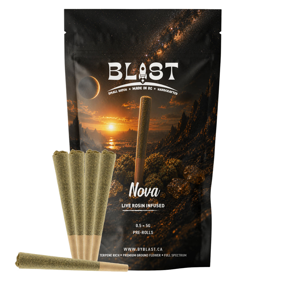 A black stand-up pouch of Blast Nova live rosin infused pre-rolls, shown with several rolled cones and two loose cones in front on a plain white background.