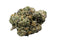 Close-up of a green cannabis bud on a white background