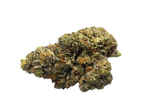 Close-up of a cannabis bud on a white background