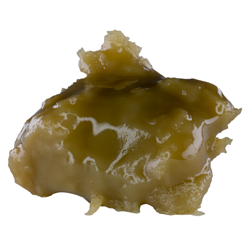 Mushroom on a white background