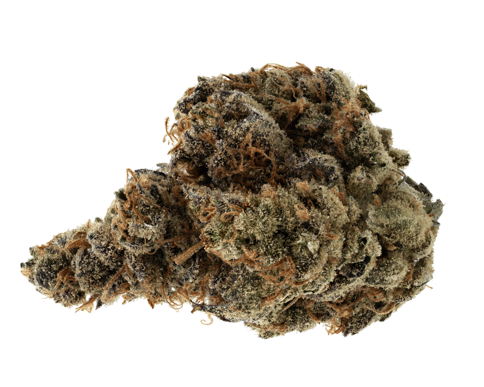 Close-up of a cannabis bud on a white background
