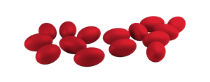Red eggs on a white background