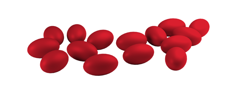 Red eggs on a white background