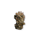 Small bud 