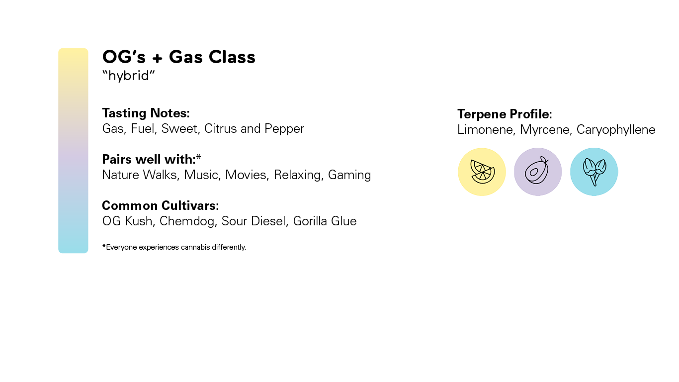 The image provides information about a cannabis classification or strain known as 