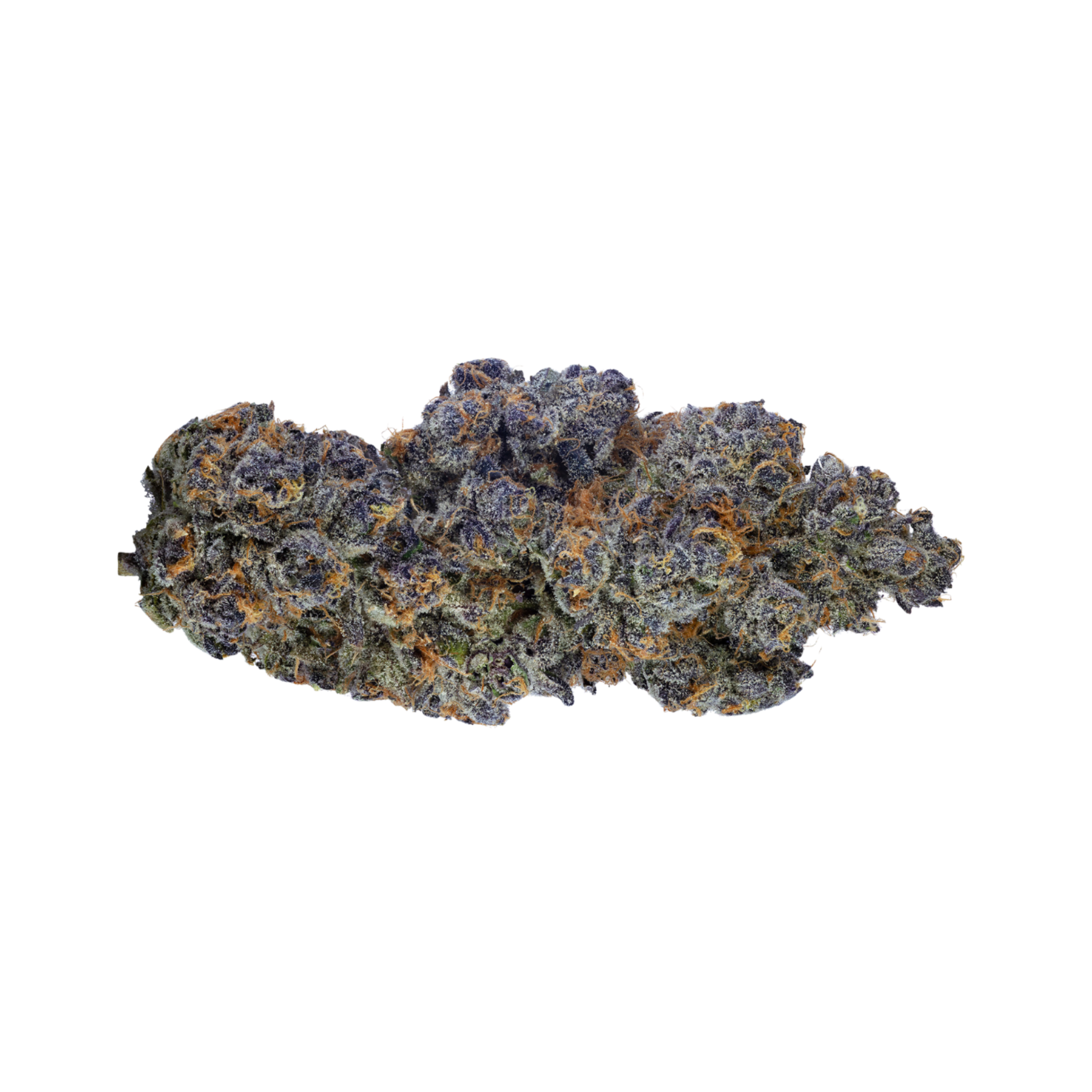 Close-up of a cannabis bud on a white background