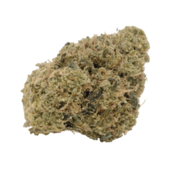 A single, dry cannabis flower from the Spectrum Reserve White Widow Kush strain, displaying a natural green and brown coloration.