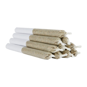 Prerolled cannabis on a white background