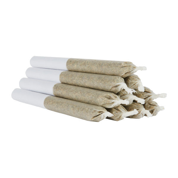 Prerolled cannabis on a white background
