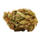 A close-up image of a cannabis bud with a rich green color and visible orange hairs.