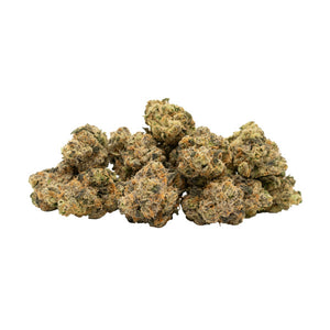 Close-up of dried cannabis buds on a white background