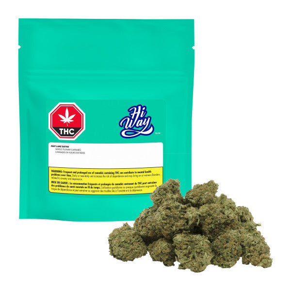 Turquoise bag with Hi Way branding and THC warning label, accompanied by cannabis buds on a white background