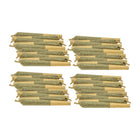 prerolls on white background