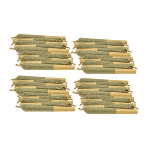 prerolls on white background