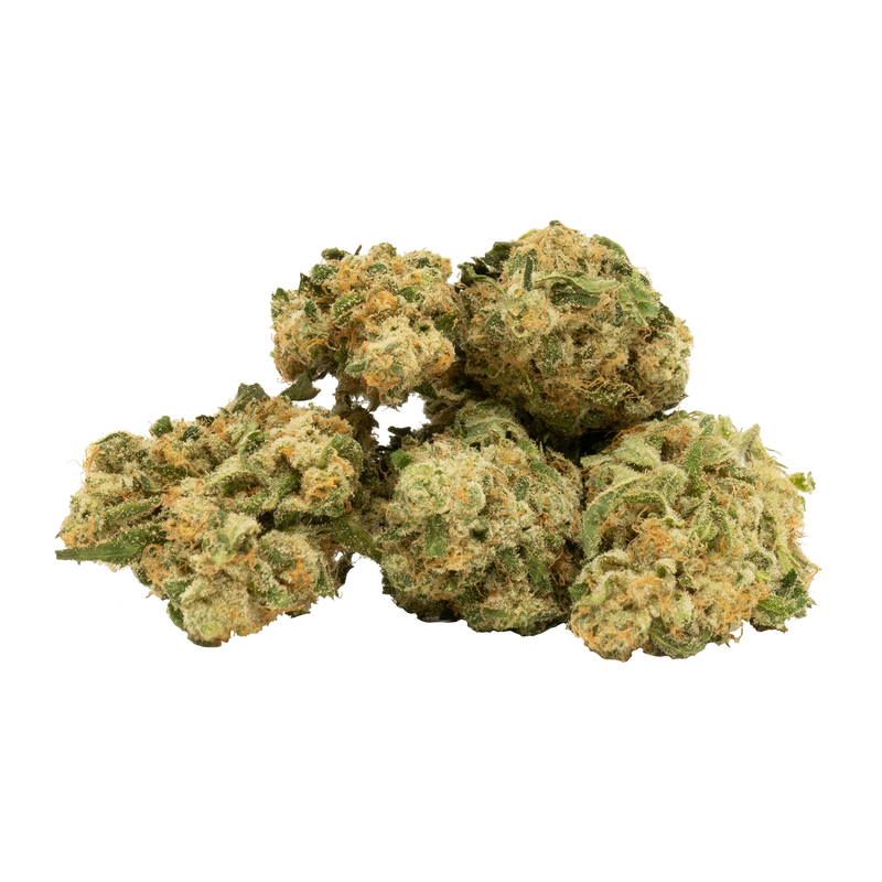 A close-up image of a cannabis bud showing green leaves with some purple and yellow hues.