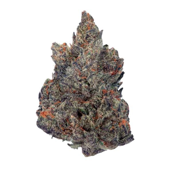  Azimuth Collective KK Mints Bud