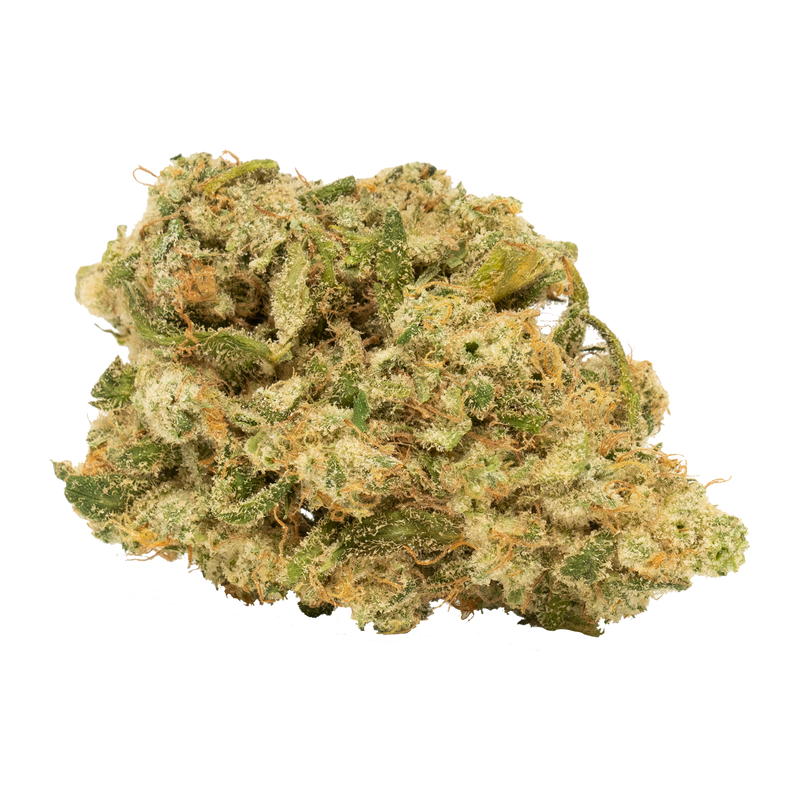 A close-up image of a cannabis bud showing green leaves with some purple and yellow hues.